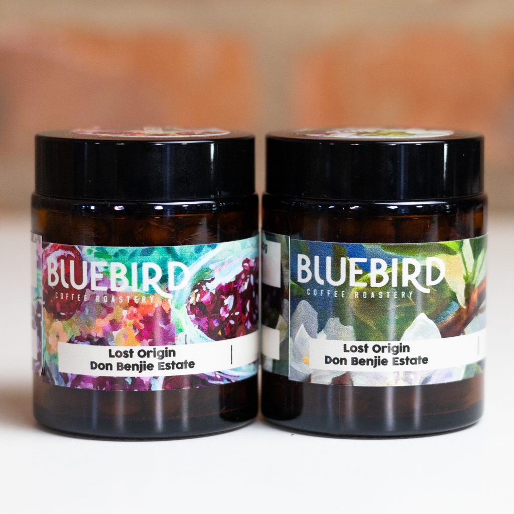 Lost Origin: Don Benjie Taster Jars