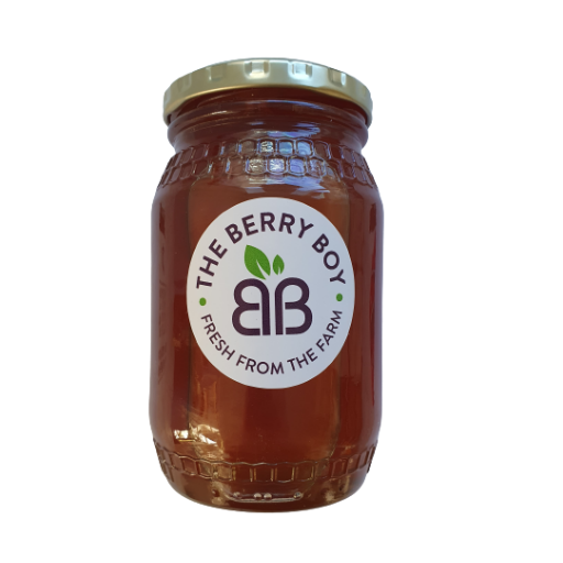 West Coast Fynbos Honey (Raw in Glass Jar) 500g