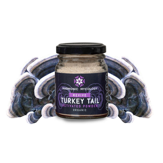 Turkey Tail Mushroom Powder – 50g