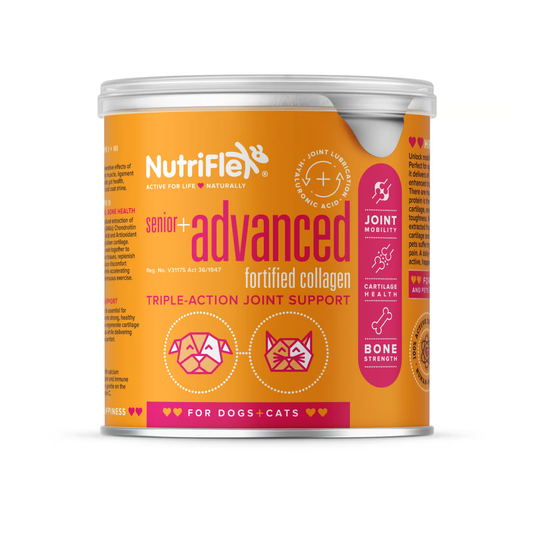 Advanced Joint-Support Collagen For Dogs and Cats