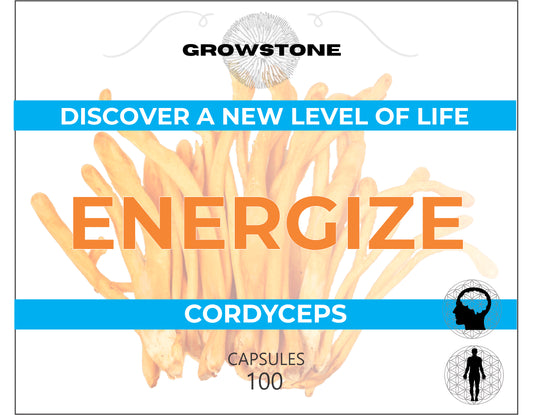 Cordyceps-capsules