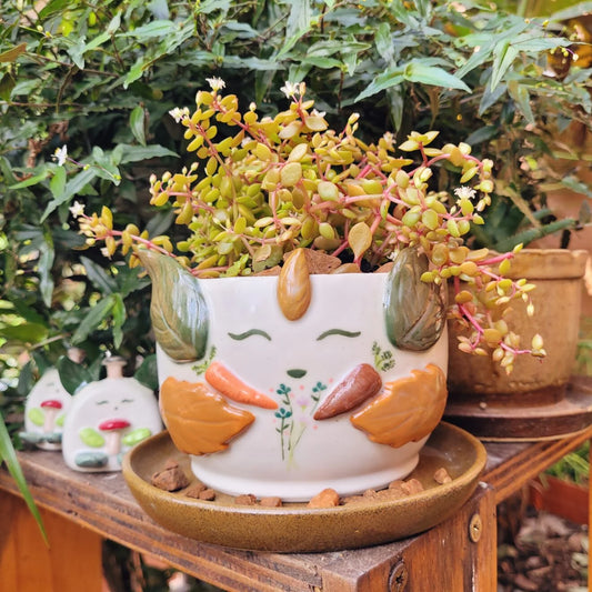 Autumn Abundance Mikoka Pet Planter